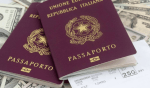 圣基茨护照移民有哪些要求