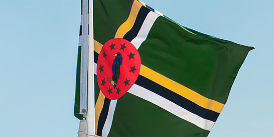 pexels-aboodi-vesakaran-13899123