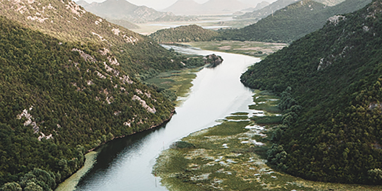 pexels-artūras-kokorevas-12271300