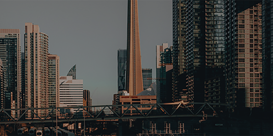 pexels-hemil-dhanani-11291947