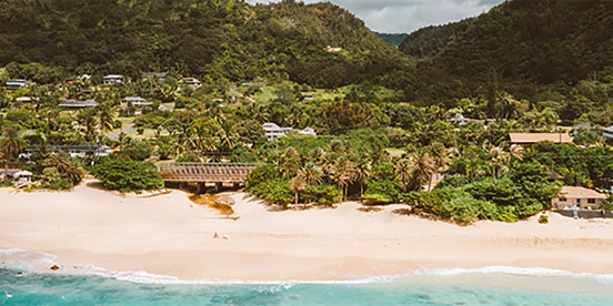 pexels-jess-loiterton-4601156