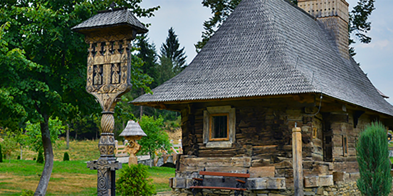 pexels-marian-strinoiu-12554584