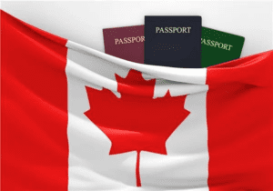 加拿大投资移民流程是怎样的